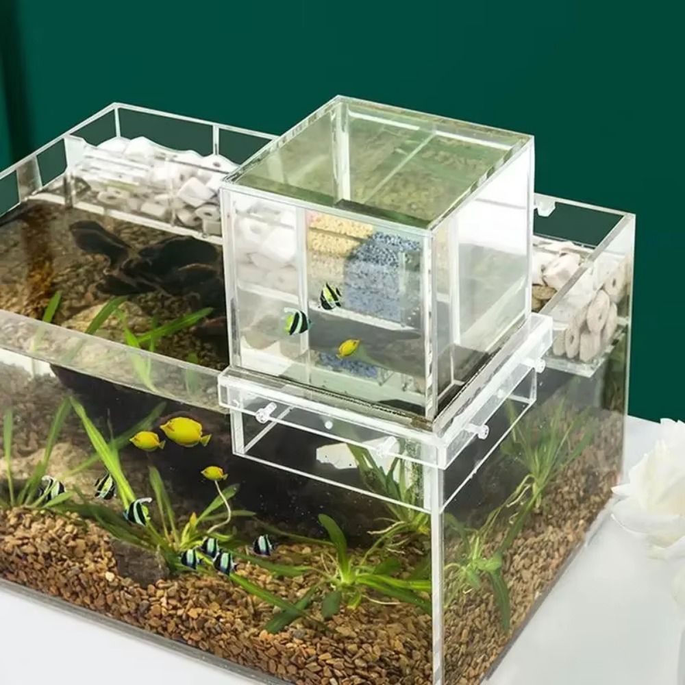 Marine Aquarium With Sump - Aquário de Pressão Negativa para Paisagismo,