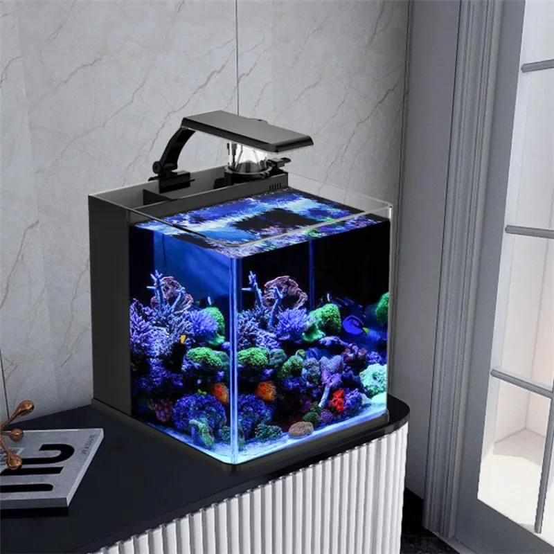 Aquarium Marine Fish For Sale - Venda Quente Aquário Mini de Água