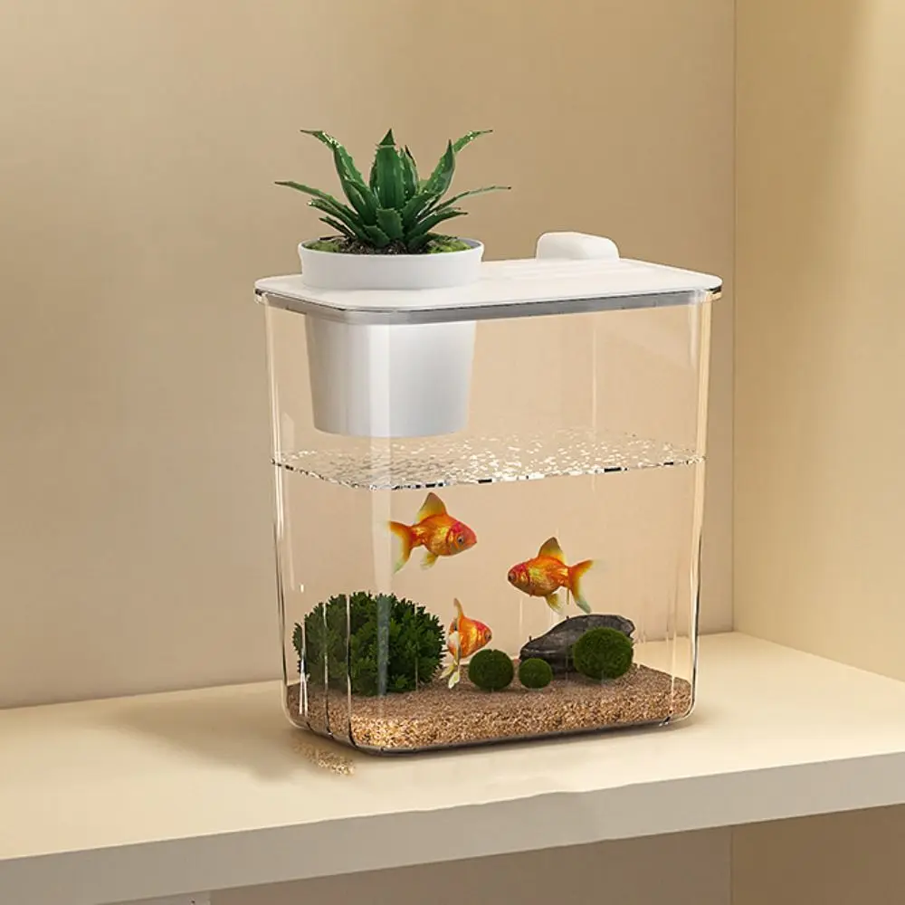 Aquário de Mesa com Bomba de Á - Marine Aquarium With Sump avaliação e preço