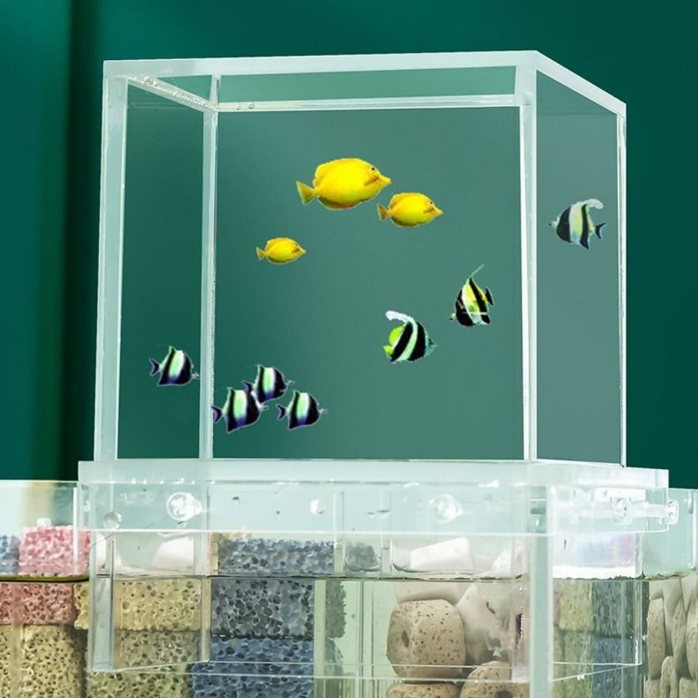 Aquário de Pressão Negativa pa - Marine Aquarium With Sump avaliação e preço
