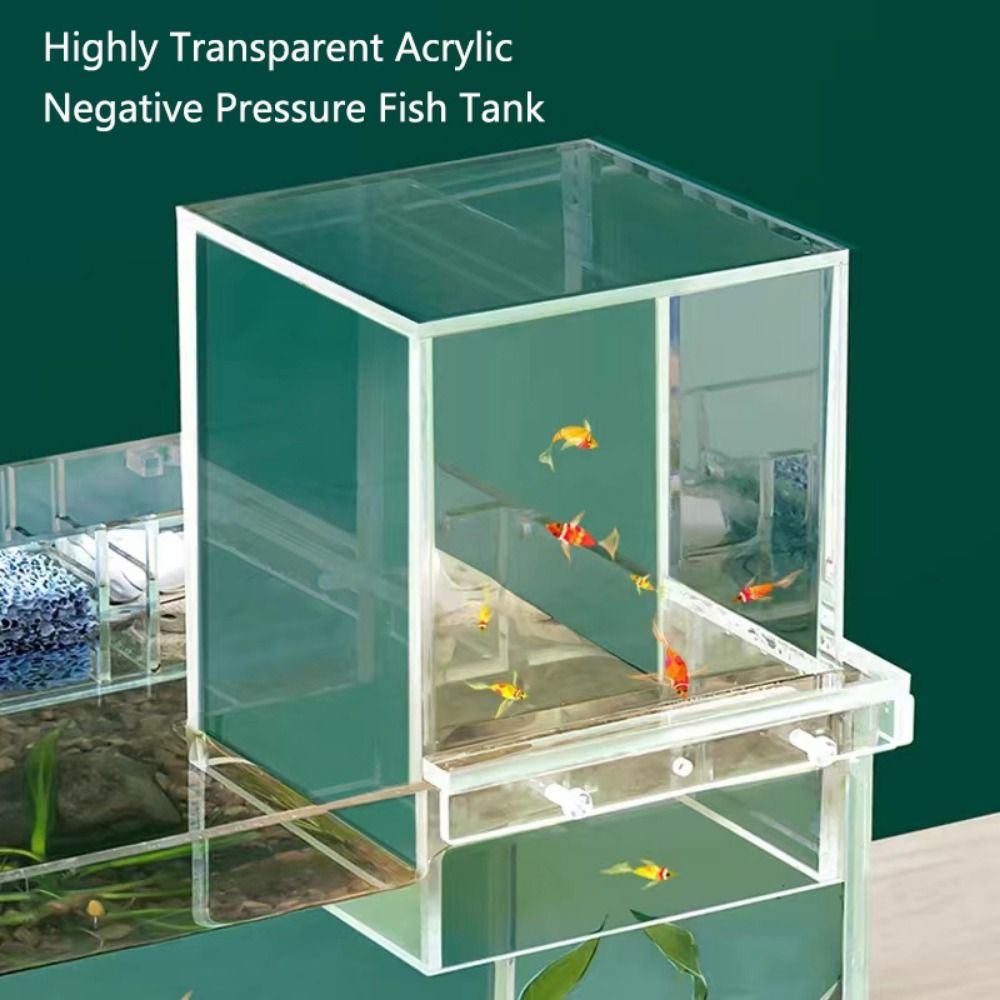 Aquário de Pressão Negativa pa - Marine Aquarium With Sump avaliação e preço