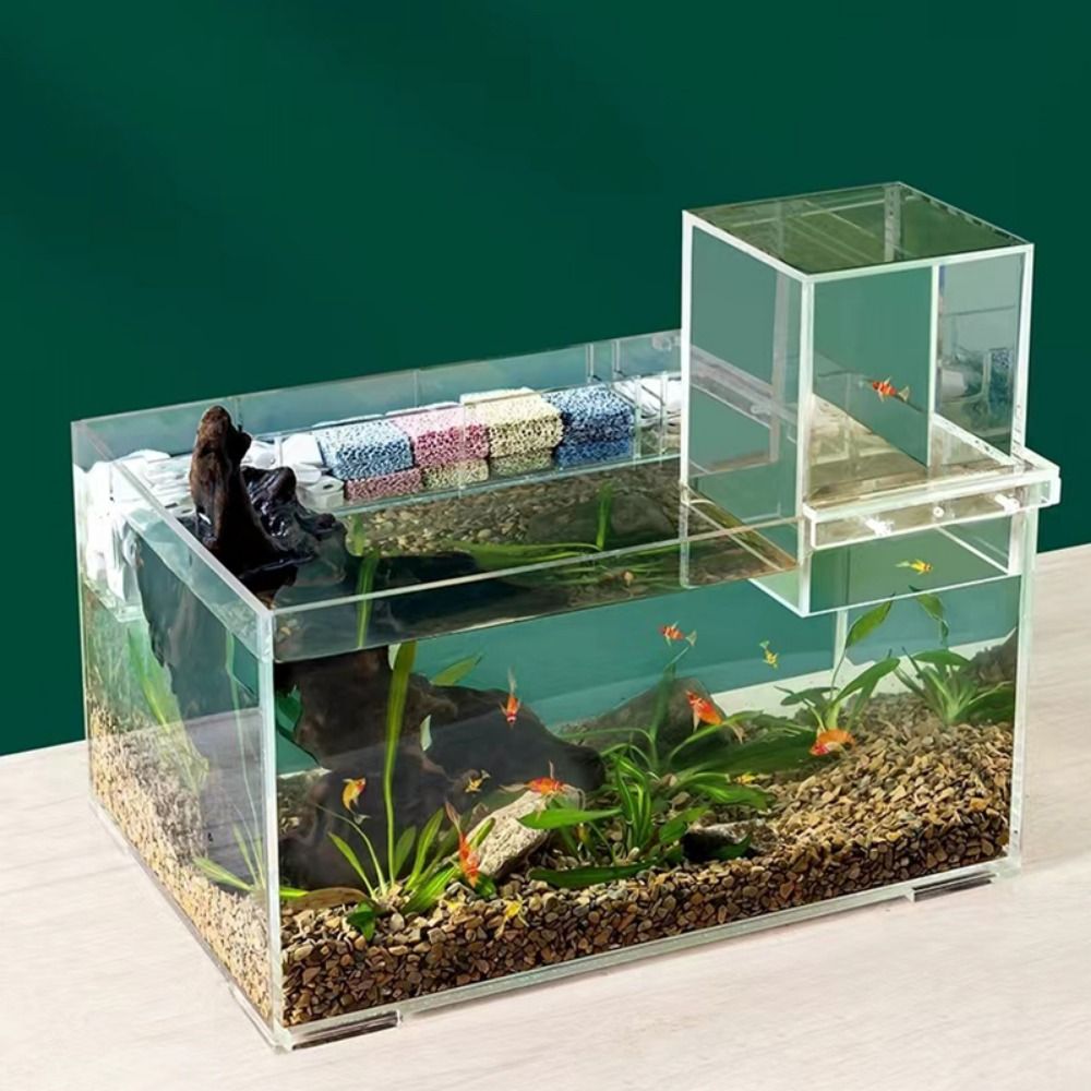 Aquário de Pressão Negativa pa - Marine Aquarium With Sump avaliação e preço