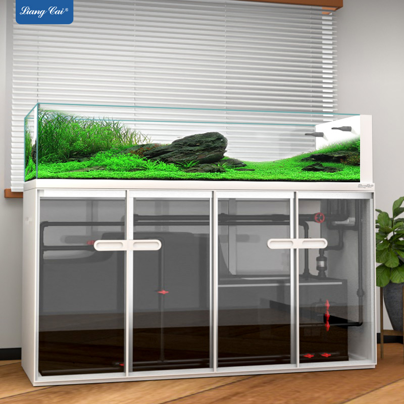 Grande estilo moderno tanque d - Aquarium Marine Fish For Sale avaliação e preço