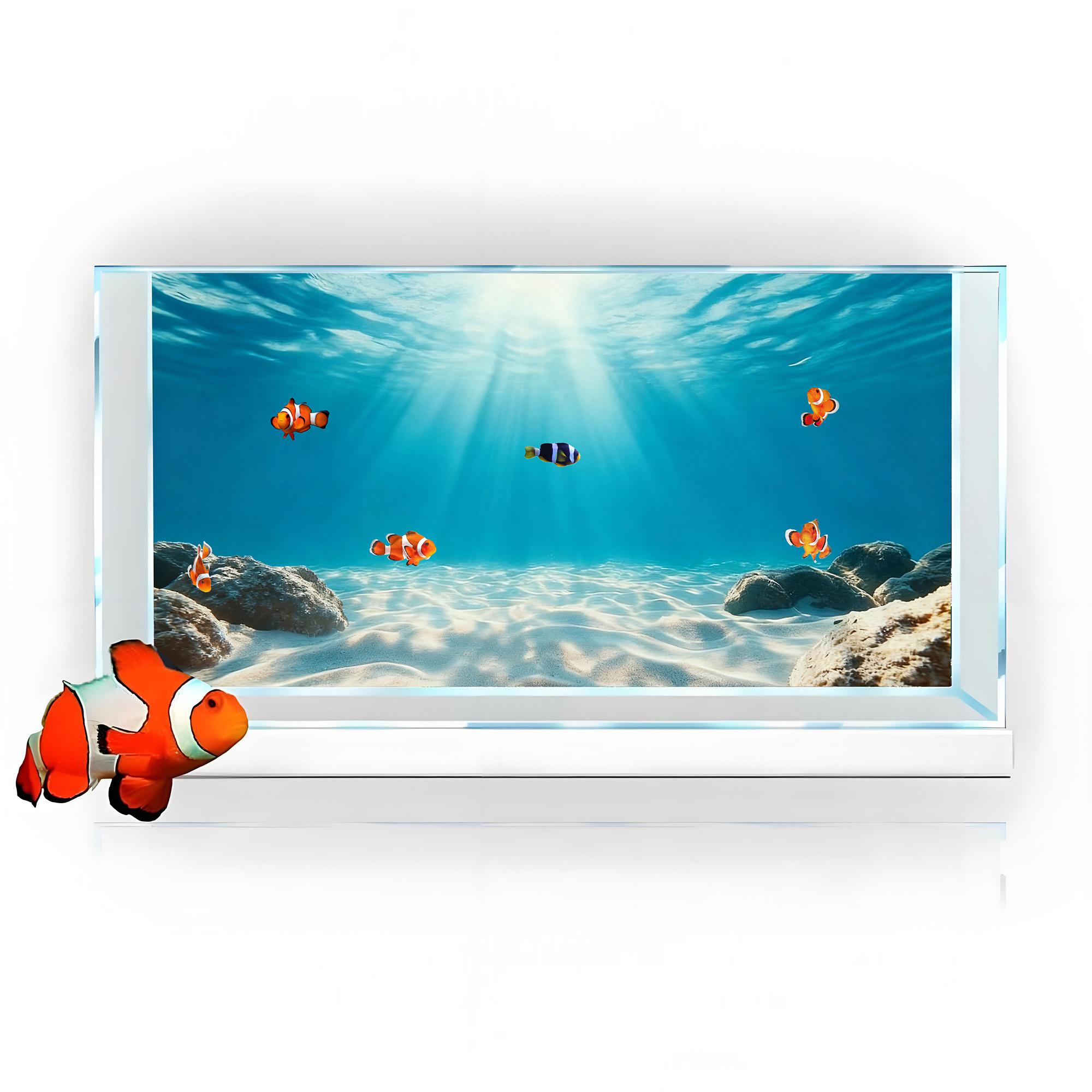 Areia Azul Transparente, Pintu - Aquarium Marine Sand avaliação e preço