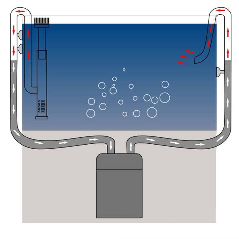 Aço inoxidável Inflow Outflow  - Marine Aquarium With Sump avaliação e preço
