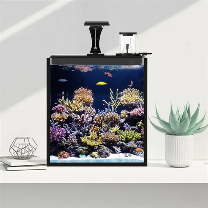Venda Quente Aquário Mini de Á - Aquarium Marine Fish For Sale avaliação e preço