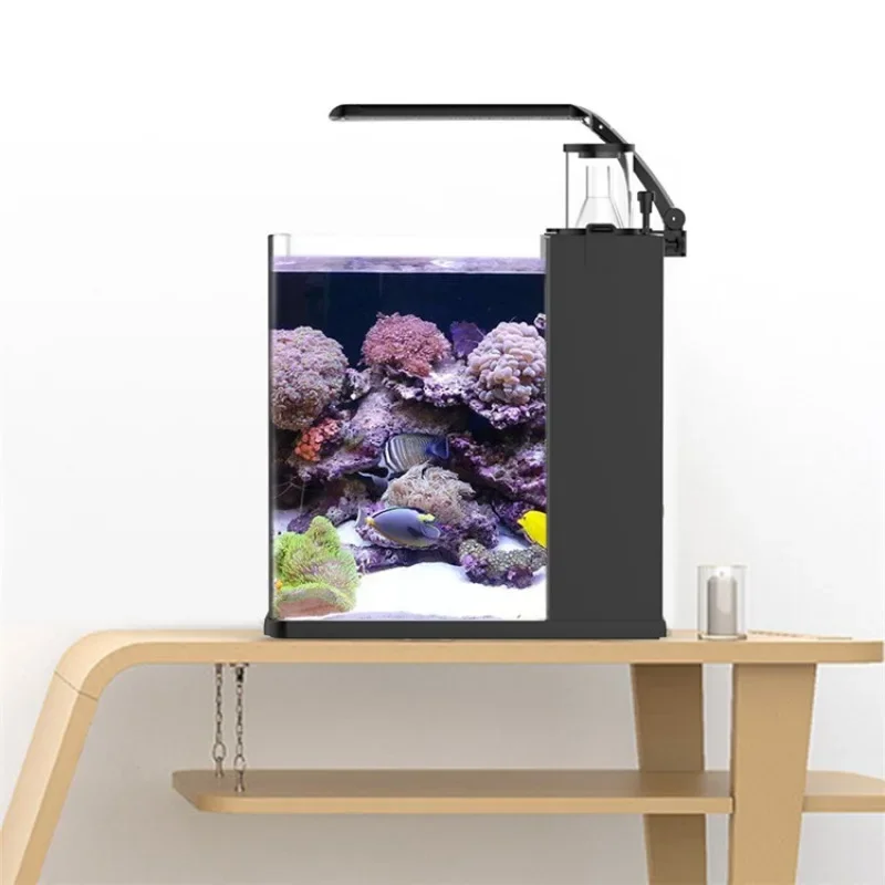 Venda Quente Aquário Mini de Á - Aquarium Marine Fish For Sale avaliação e preço