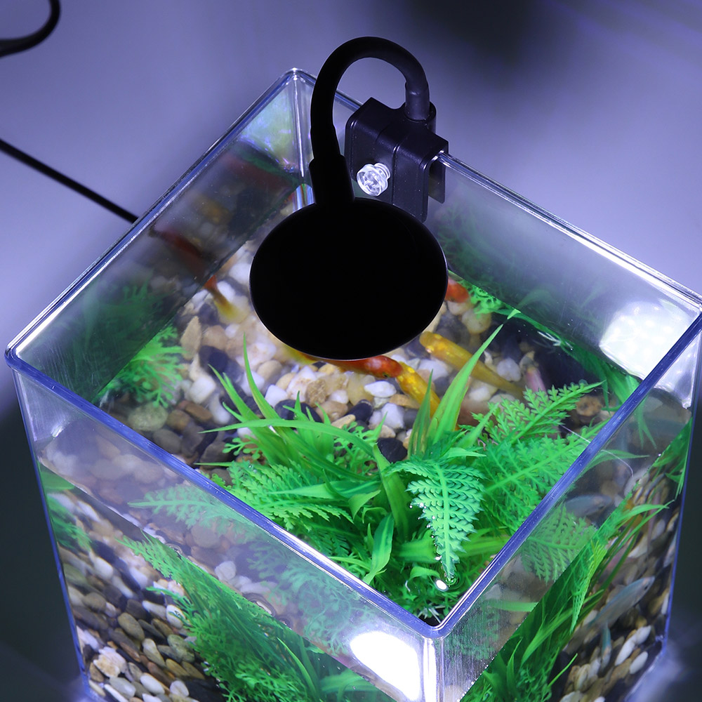 USB Desktop Fish Tank Set para - Marine Aquarium With Sump avaliação e preço